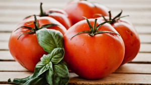 Започнете отглеждането на разсада за късно полско производство на домати още през май