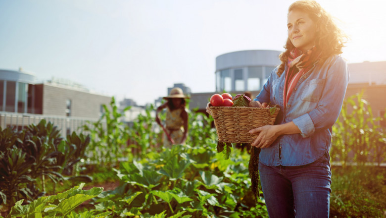 Как да върнем работниците в родното земеделие?