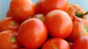 Средно ранни и късни сортове домати