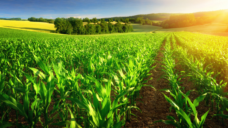 ЕК прие „От фермата до трапезата“: 20% по-малко торове, 50% по-малко пестициди