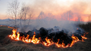 Субсидии ще се отнемат за пожароопасно поведение и тази година - Agri.bg