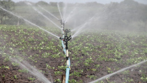 Напояване: Колко вода за земеделие се отпуска от язовири „Шумен“ и „Тича“? - Agri.bg