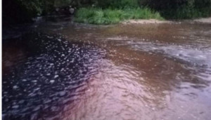 Розоварна замърси водите на река Стряма