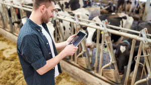 Агроиновации: Цифровизацията се тества в реални млечни ферми