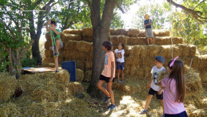 Ферма успешно комбинира земеделие и занимания за деца - Снимка 12