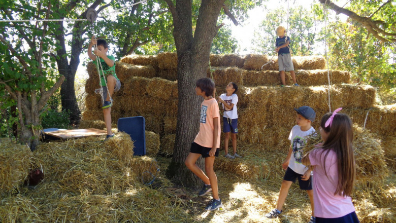Ферма успешно комбинира земеделие и занимания за деца