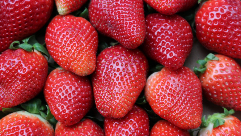 С 50% по-слаба ягодова реколта прибират в Североизтока