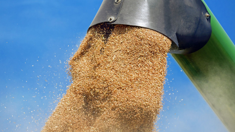Пшеницата в Силистренско - с близо 30% по-ниски добиви