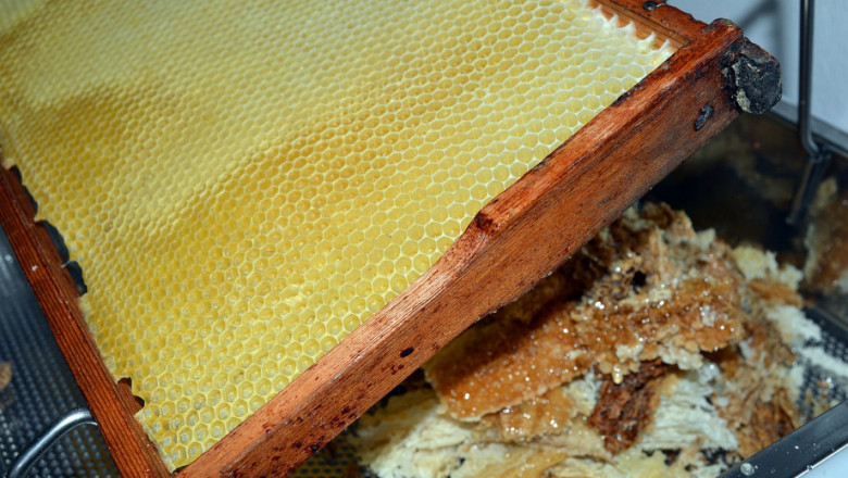 Стареене на питите и обновяване на пчелните гнезда