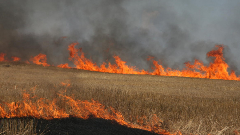 Пожар пламна в пшеничен блок край Нова Загора