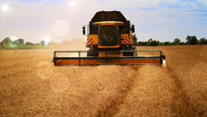 Прогноза: Чудовищна реколта ще натисне цените на зърното надолу - Agri.bg