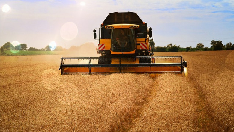 Прогноза: Чудовищна реколта ще натисне цените на зърното надолу