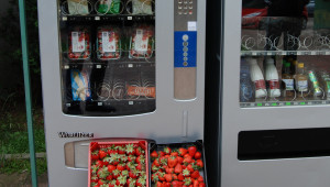 Вендинг-автомат за плодове и зеленчуци има вече и у нас