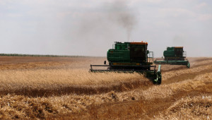 Комбайните влязоха да жънат пшеницата в Добруджа - Agri.bg