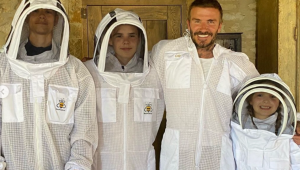 Пчеларството е новото хоби на Дейвид Бекъм