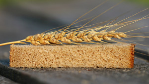 Анализатори очакват 30 ст./кг средногодишна цена на пшеницата - Agri.bg