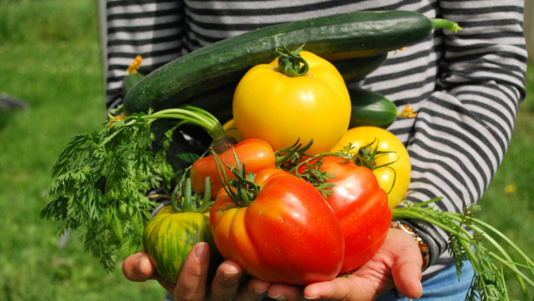 Прогноза: Повече краставици и домати, по-малко пипер