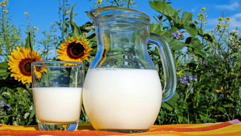 Анализатори: Спад в цените на млякото през юли