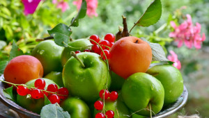 Следберитбено третиране и съхранение на плодовете