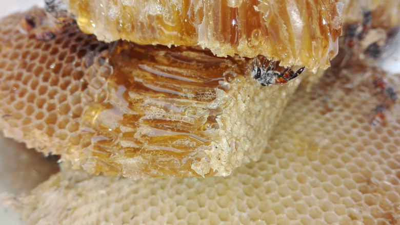 Какви са правилата за износ на пчелен мед?