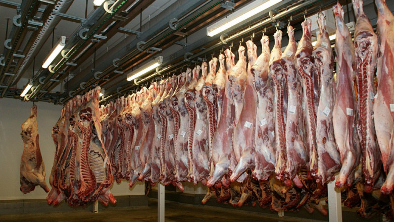 Голям ръст в произведеното месо от животновъдни стопанства