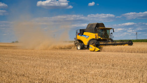 Пшеницата в Ломско достига близо 700 кг/дка
