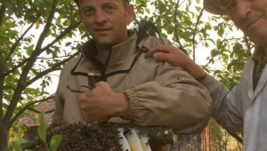 За предприемчивите пчелари: Идея за допълнителни приходи - Снимка 2