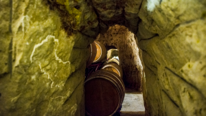 Родна изба впечатли винари от цял свят - Снимка 2