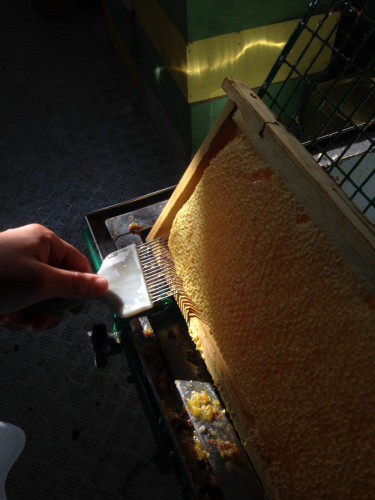 Продавам 2000кг мед букет в тенекии, реколта 2020г - Снимка 9
