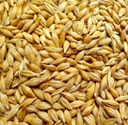 Купуваме пшеница , рапица и ечемик - Снимка 1