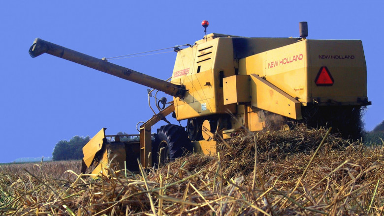 Пшеница 2020: Голяма част от фермерите са с добиви под 200 кг/дка