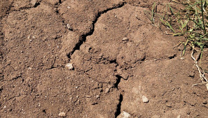 В търсене на решение: Как да запазим влагата в почвата?