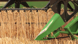 Прогноза: Предлагането на зърно ще надвиши търсенето