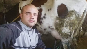 Стопаните на отровените крави: Всички бяха бременни