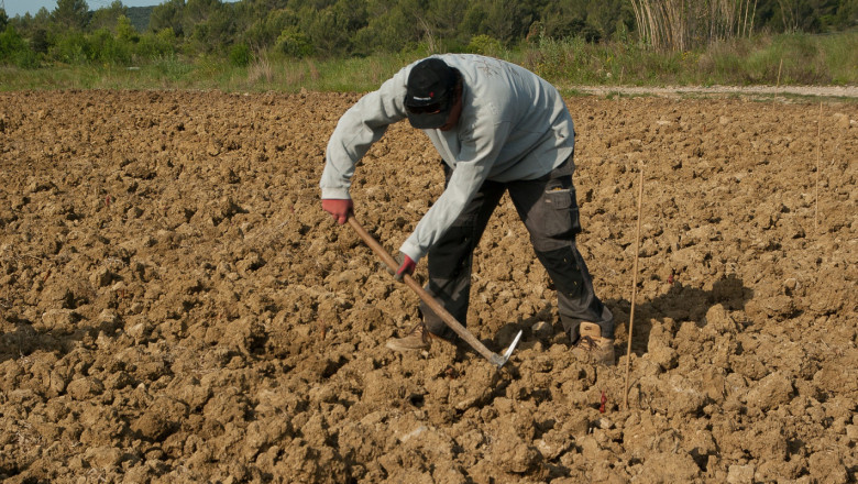 По-сурови глоби за нелегален труд на полето