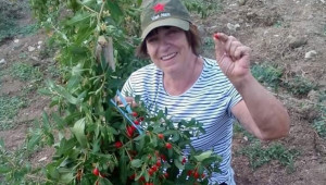 Дамите в селското стопанство: Маргарита Костова