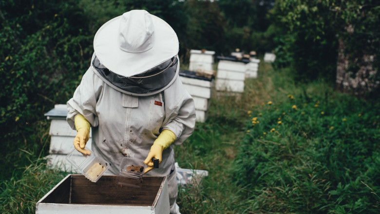 Пчеларите вече получават парите си по Националната програма
