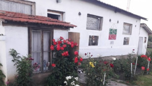 Българска ферма: Кашкавал за скара, балкански въздух и кози - Снимка 1