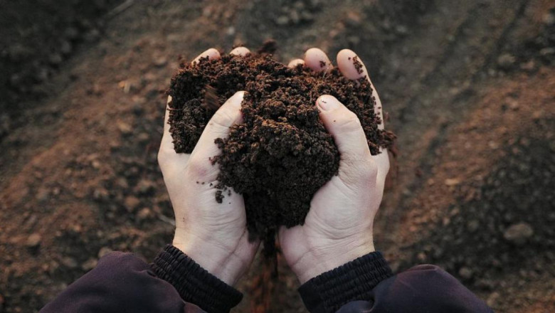 Познавате ли почвата във вашата градина?