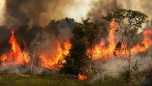Бедствено положение: Евакуация и хиляди декари изгорели земеделски площи - Agri.bg