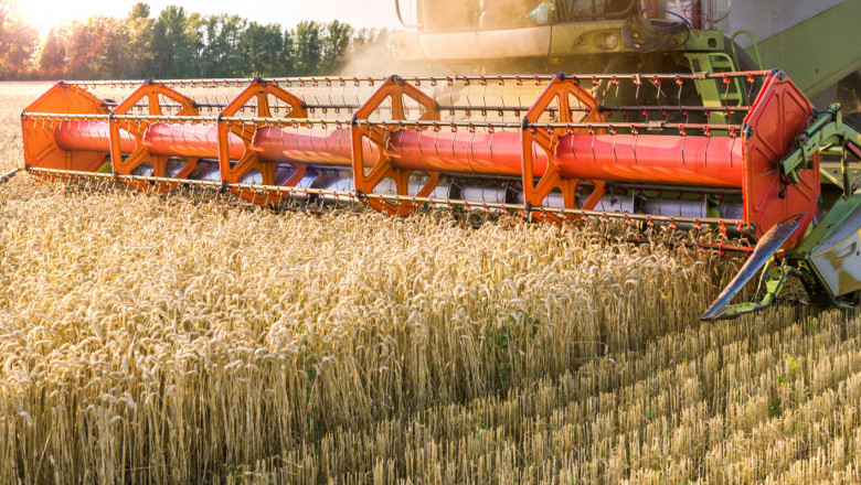 Пшеница и ечемик: Вижте добивите в страната по райони
