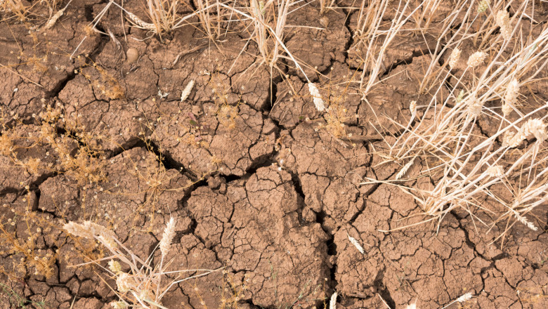 НАЗ настояват за форсмажорна година за районите със суша
