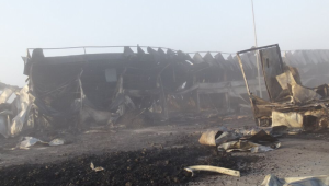 Зеленчуковата борса в Кърналово отново избухна в пламъци - Agri.bg