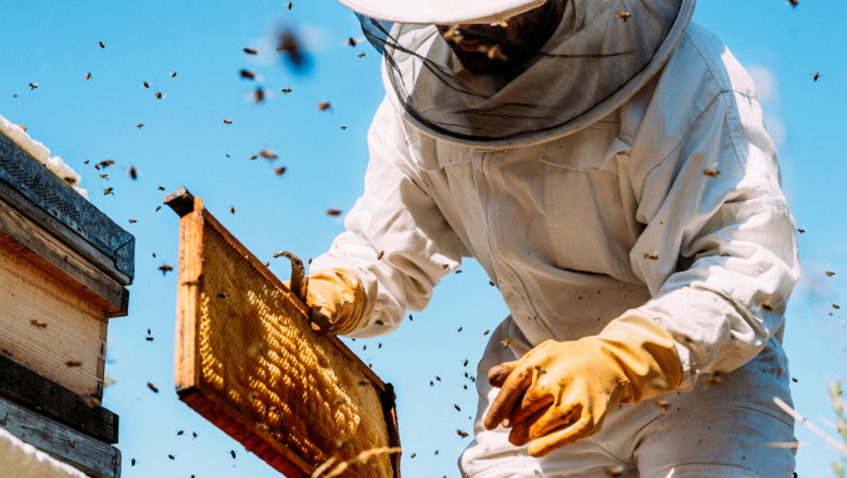ДФЗ изплати над 4, 132 млн. лв. на пчеларите по de minimis