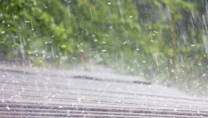 Агропрогноза за септември: Къде има надежда за дъжд?