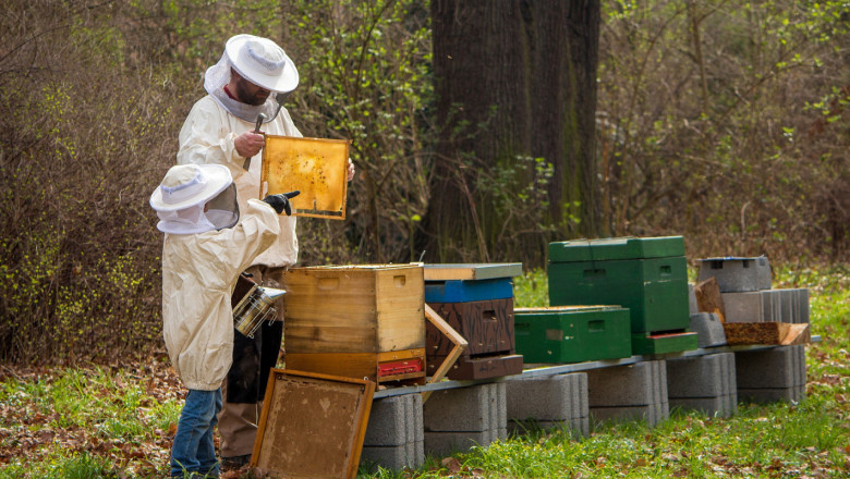 Мярката за техническа помощ е най-атрактивна за пчеларите