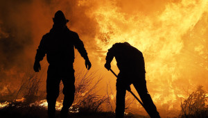 Огнеборци спасяват горящи комбайни