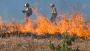 Фермери кандидатстват за de minimis за компенсиране на щети от пожари