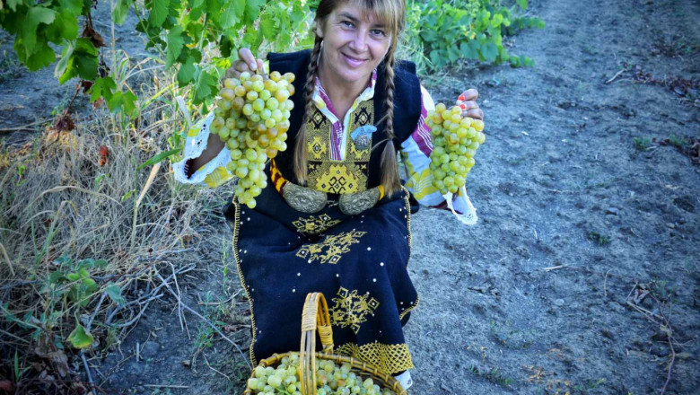 Дамите в селското стопанство: Росица Мангърова