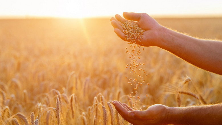 Цени на зърното: Изобилие от причини за ново ценово рали